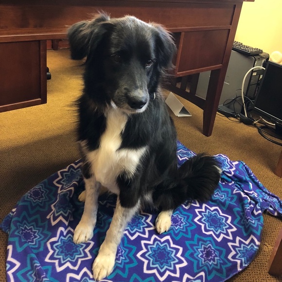 Meet your Posher, Andrea - Picture 1 of 1